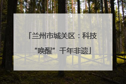 兰州市城关区：科技“唤醒”千年非遗