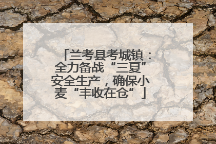 兰考县考城镇：全力备战“三夏”安全生产，确保小麦“丰收在仓”