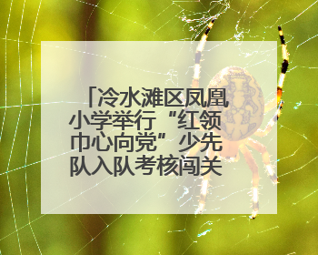 冷水滩区凤凰小学举行“红领巾心向党”少先队入队考核闯关活动