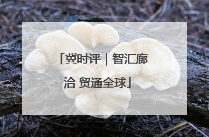 冀时评｜智汇廊洽 贸通全球