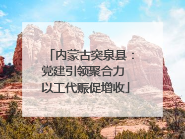 内蒙古突泉县：党建引领聚合力 以工代赈促增收