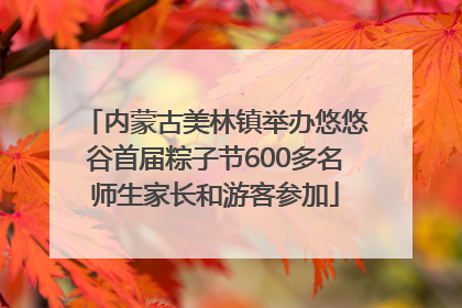 内蒙古美林镇举办悠悠谷首届粽子节600多名师生家长和游客参加