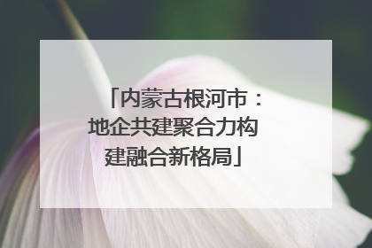 内蒙古根河市：地企共建聚合力构建融合新格局