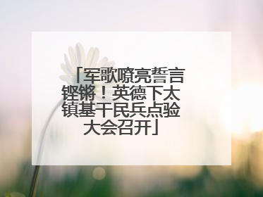 军歌嘹亮誓言铿锵！英德下太镇基干民兵点验大会召开