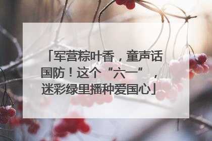 军营粽叶香，童声话国防！这个“六一”，迷彩绿里播种爱国心