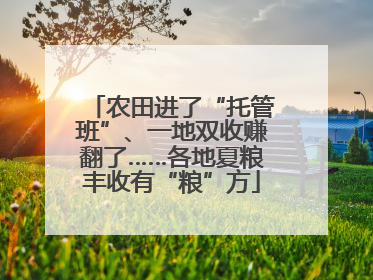 农田进了“托管班”、一地双收赚翻了……各地夏粮丰收有“粮”方