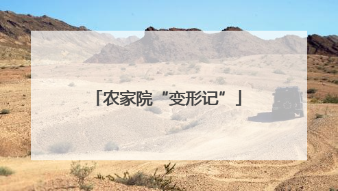 农家院“变形记”