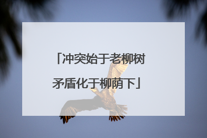 冲突始于老柳树 矛盾化于柳荫下