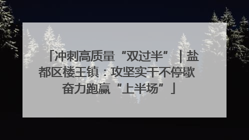 冲刺高质量“双过半”｜盐都区楼王镇：攻坚实干不停歇 奋力跑赢“上半场”