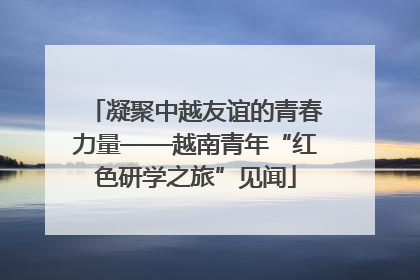 凝聚中越友谊的青春力量——越南青年“红色研学之旅”见闻