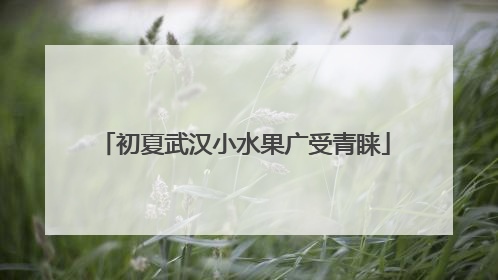 初夏武汉小水果广受青睐