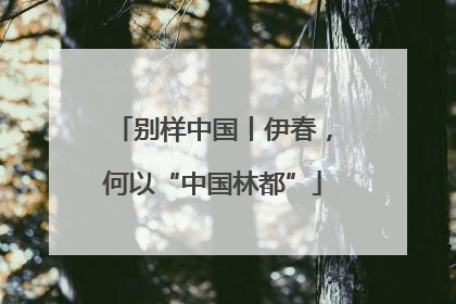 别样中国丨伊春，何以“中国林都”