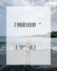 到麦田里“上学”去