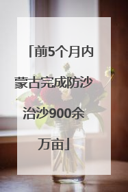 前5个月内蒙古完成防沙治沙900余万亩