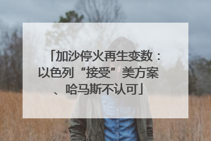 加沙停火再生变数：以色列“接受”美方案、哈马斯不认可