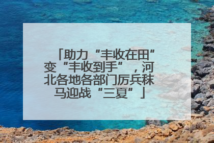 助力“丰收在田”变“丰收到手”，河北各地各部门厉兵秣马迎战“三夏”