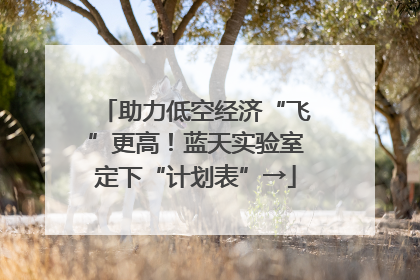 助力低空经济“飞”更高！蓝天实验室定下“计划表”→