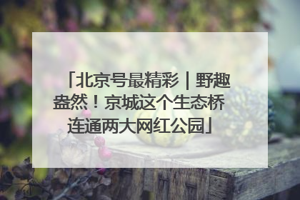 北京号最精彩｜野趣盎然！京城这个生态桥连通两大网红公园