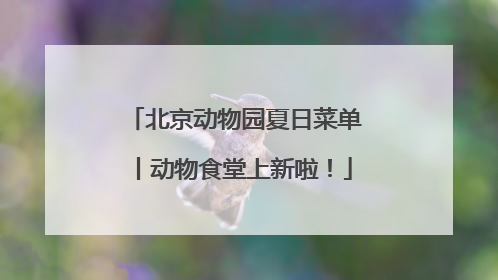北京动物园夏日菜单丨动物食堂上新啦！