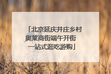 北京延庆井庄乡村奥莱商街端午开街 一站式逛吃游购