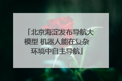 北京海淀发布导航大模型 机器人能在复杂环境中自主导航