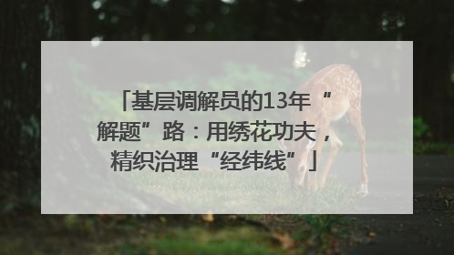 基层调解员的13年“解题”路：用绣花功夫，精织治理“经纬线”