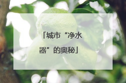 城市“净水器”的奥秘