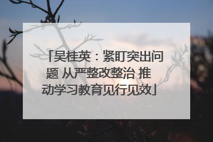 吴桂英：紧盯突出问题 从严整改整治 推动学习教育见行见效