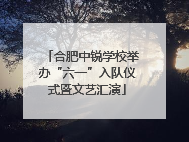 合肥中锐学校举办“六一”入队仪式暨文艺汇演