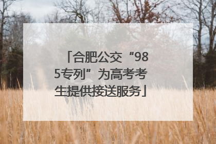 合肥公交“985专列”为高考考生提供接送服务