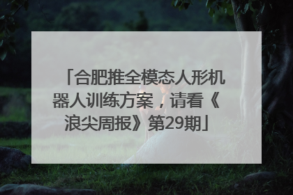 合肥推全模态人形机器人训练方案，请看《浪尖周报》第29期