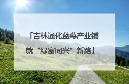 吉林通化蓝莓产业铺就“绿富同兴”新路