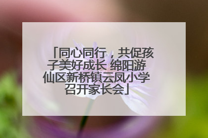 同心同行，共促孩子美好成长 绵阳游仙区新桥镇云凤小学召开家长会