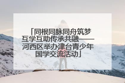 同根同脉同舟筑梦 互学互助传承共融——河西区举办津台青少年国学交流活动