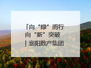向“绿”而行 向“新”突破｜襄阳数产集团赋能低碳未来