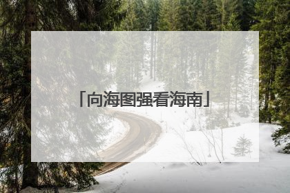 向海图强看海南