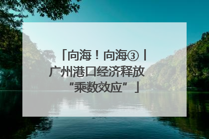 向海！向海③丨广州港口经济释放“乘数效应”
