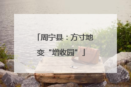 周宁县：方寸地变“增收园”