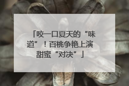 咬一口夏天的“味道”！百桃争艳上演甜蜜“对决”