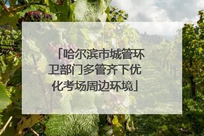 哈尔滨市城管环卫部门多管齐下优化考场周边环境