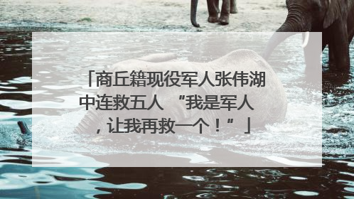 商丘籍现役军人张伟湖中连救五人 “我是军人,让我再救一个!”