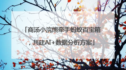 商汤小浣熊牵手蚂蚁百宝箱，共建AI+数据分析方案