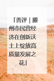 善评｜滕州市民营经济在创新沃土上绽放高质量发展之花