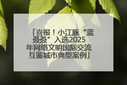 喜报！小江豚“蓝叒叒”入选2025年网络文明国际交流互鉴城市典型案例