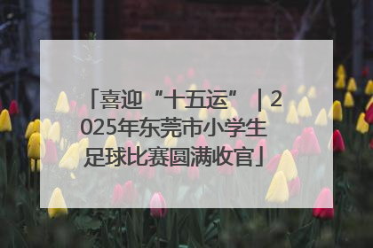 喜迎“十五运”｜2025年东莞市小学生足球比赛圆满收官
