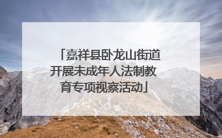 嘉祥县卧龙山街道开展未成年人法制教育专项视察活动