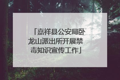 嘉祥县公安局卧龙山派出所开展禁毒知识宣传工作