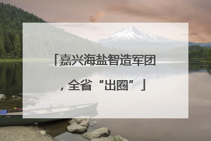 嘉兴海盐智造军团，全省“出圈”