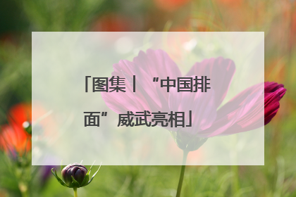 图集︱“中国排面”威武亮相