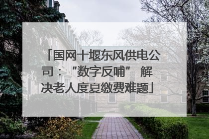 国网十堰东风供电公司：“数字反哺” 解决老人度夏缴费难题